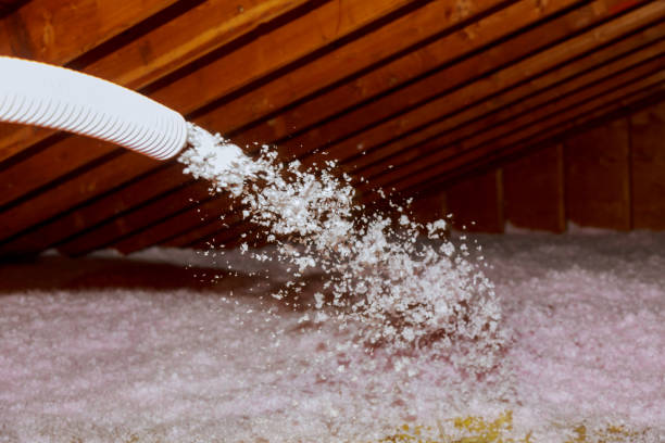 Types of Insulation We Offer in California City, CA