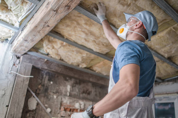 Best Insulation for Specific Applications in Lifornia City, CA