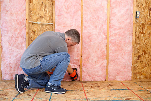Best Cellulose Insulation in Lifornia City, CA